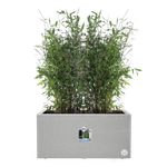 vivo next lang 80cm living beton